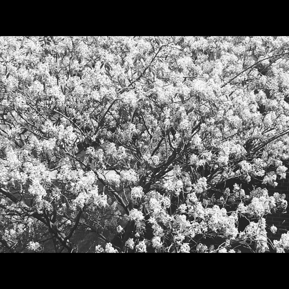 Meet your Posher, Ali